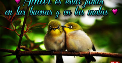 Bonitas Frases De Amor Con Imagenes De Tiernos Pajaritos