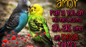Imágenes de pájaros con bonitos mensajes de Amor