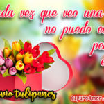 Imágenes de Amor para enviar Tulipanes gratis