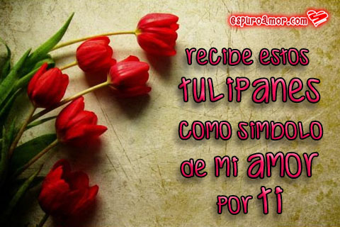 12 Imágenes de Amor para enviar Tulipanes gratis