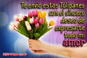 Imágenes de Amor para enviar Tulipanes gratis