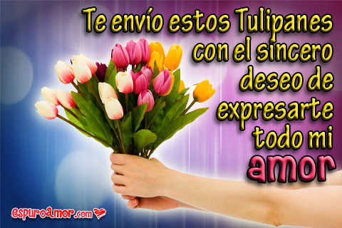 12 Imágenes de Amor para enviar Tulipanes gratis