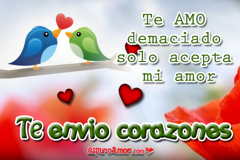 5 Frases De Te Envio Corazones Con Hermosos Pajaritos Gratis