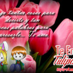5 Imagenes de Bonitos Tulipanes Con Te Amo para Dedicar