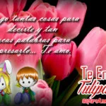Imágenes de Bonitos Tulipanes Con Frases de Amor