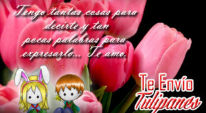 5 Imagenes de Bonitos Tulipanes Con Te Amo para Dedicar