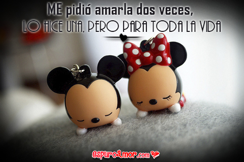 Mickey y Minnie la ame por toda la vida
